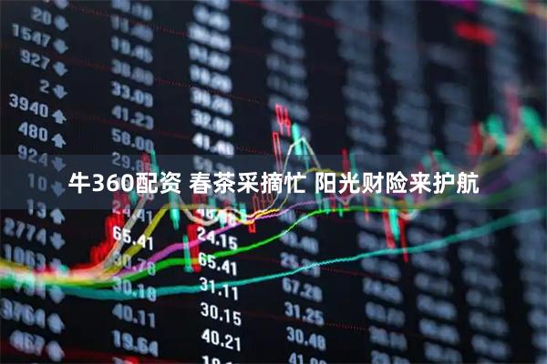 牛360配资 春茶采摘忙 阳光财险来护航